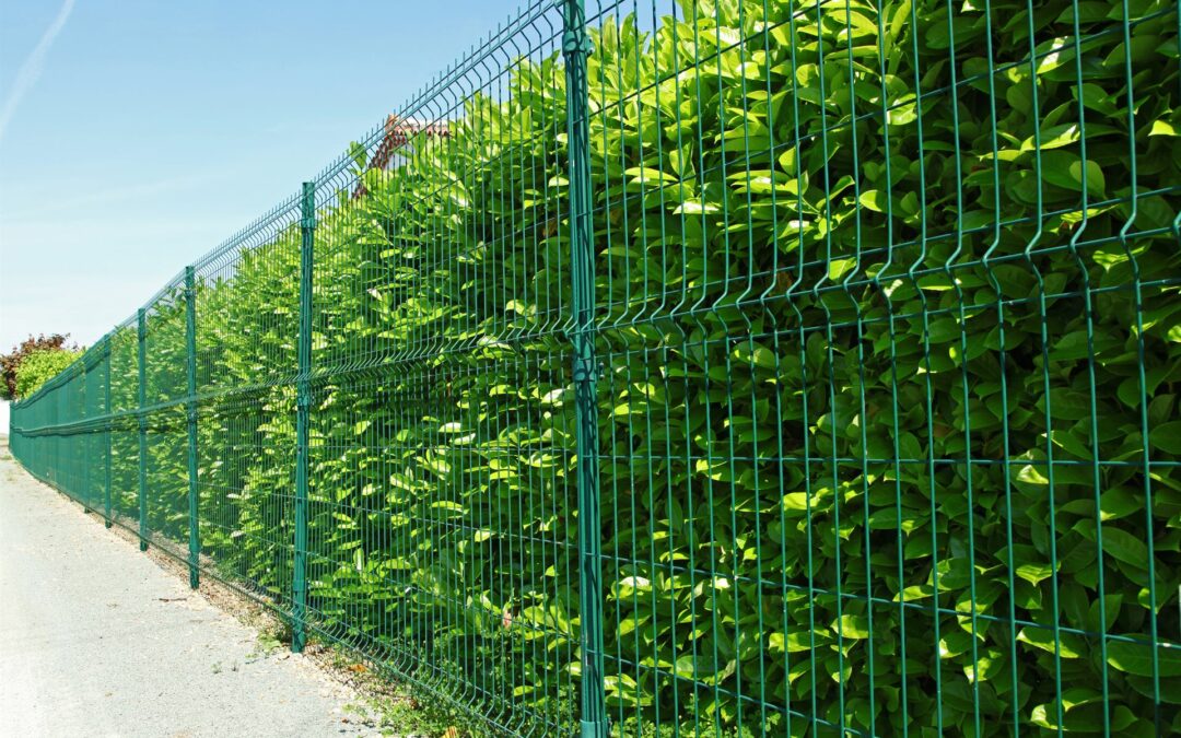 Clôture en grillage à Wittenheim : sécurité et praticité pour votre extérieur